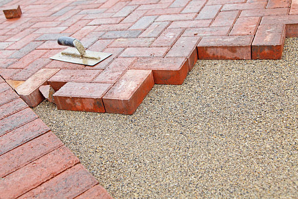 Best Custom Driveway Pavers  in Roseau, MN