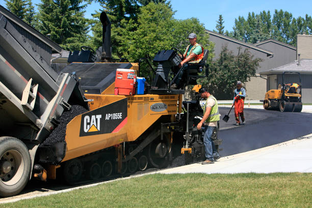 Best Decorative Driveway Pavers  in Roseau, MN